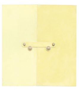 Ytterdörr mässing Inkl. gångjärn 27 tum